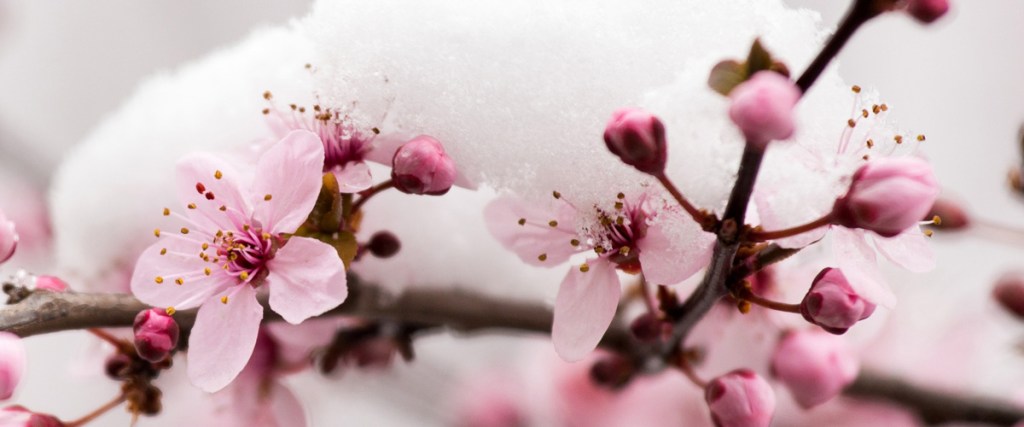 Unfreezing the confidence in the future GrECo Group Specialist Risk Management Insurance