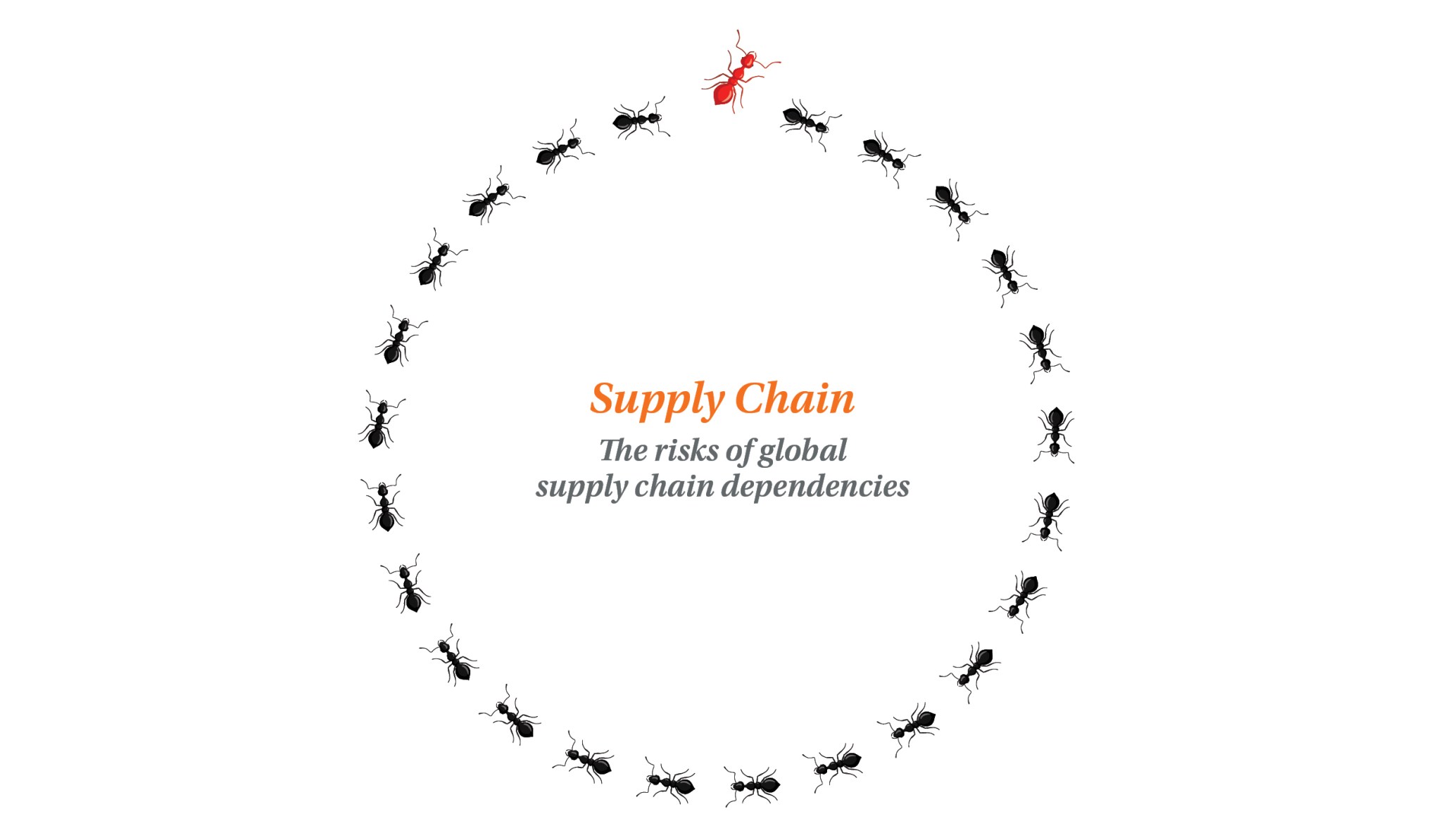 Supply Chain Spotlitght Publication Cover