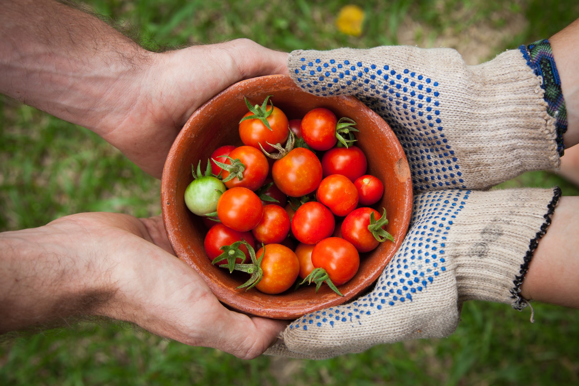 Organic farming in Austria