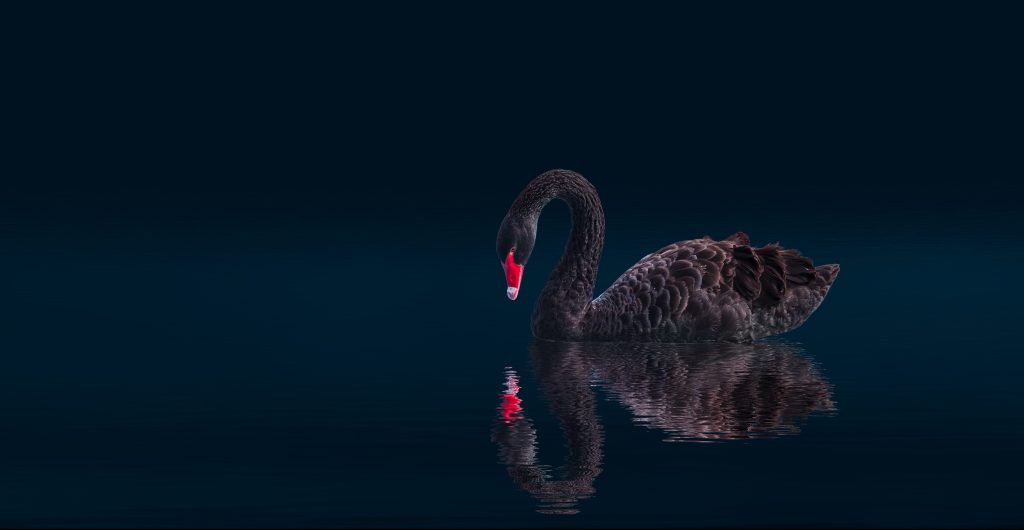 Managing the risks of Black Swan events