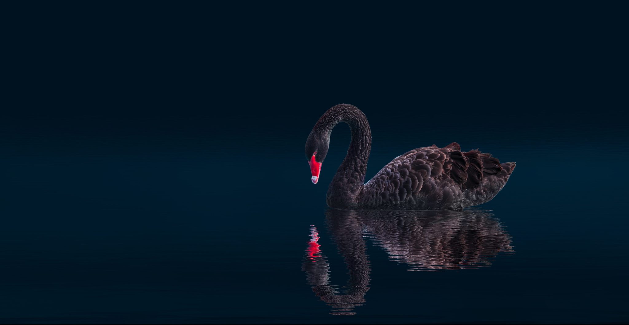 Managing the risks of Black Swan events