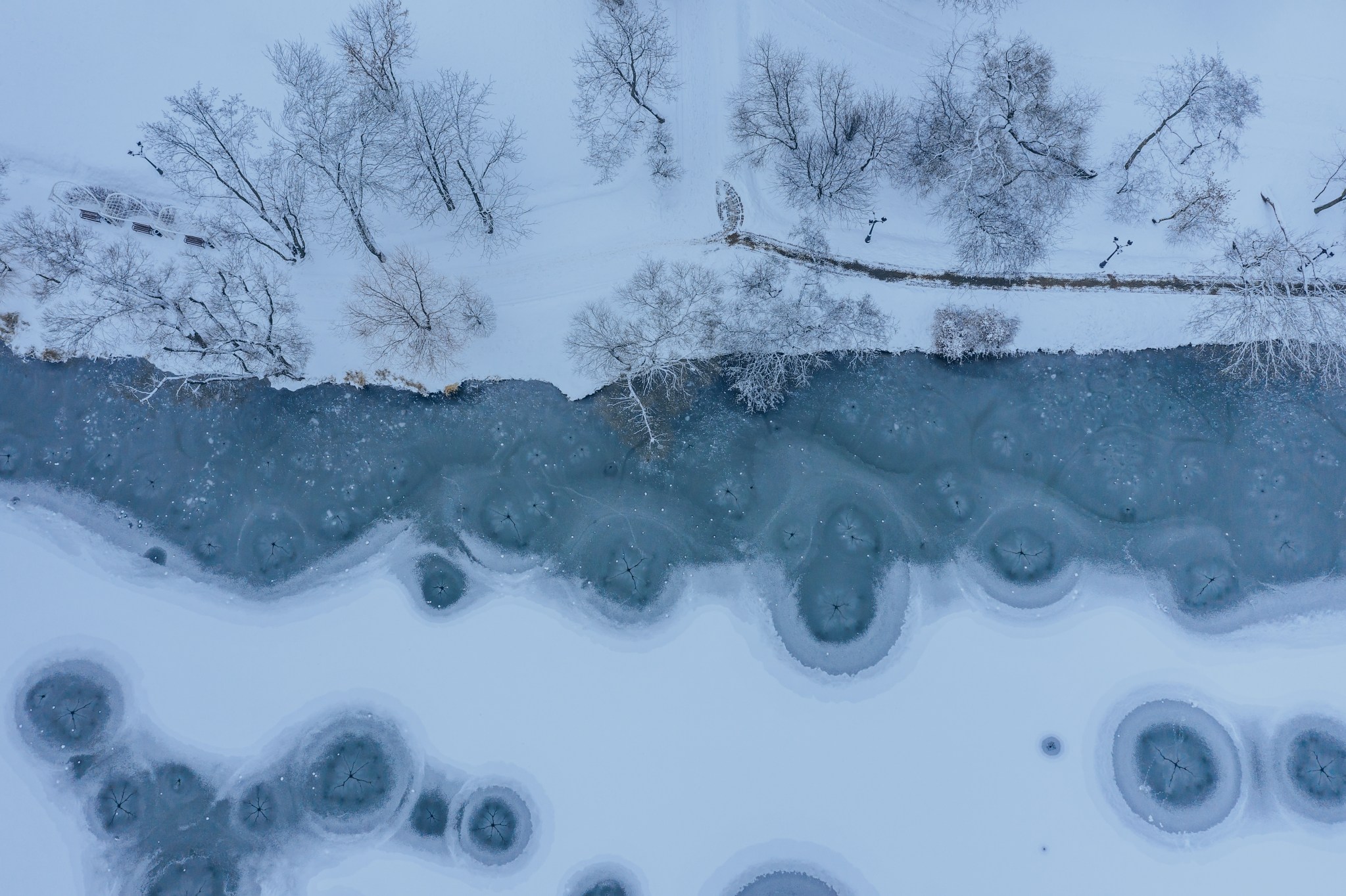 ESG Studie Versicherer